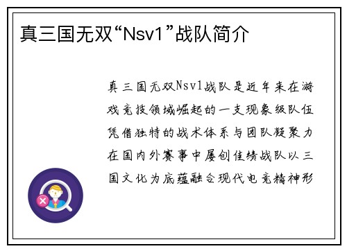 真三国无双“Nsv1”战队简介